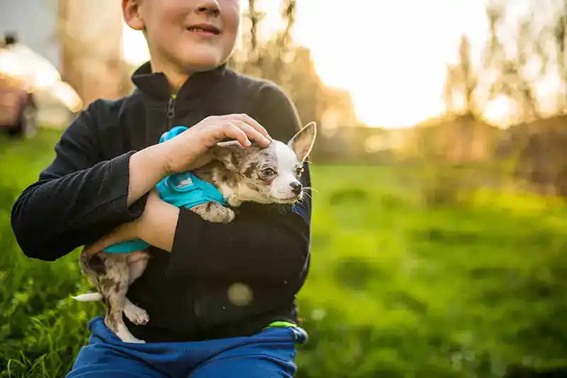 Child holding a puppy outside