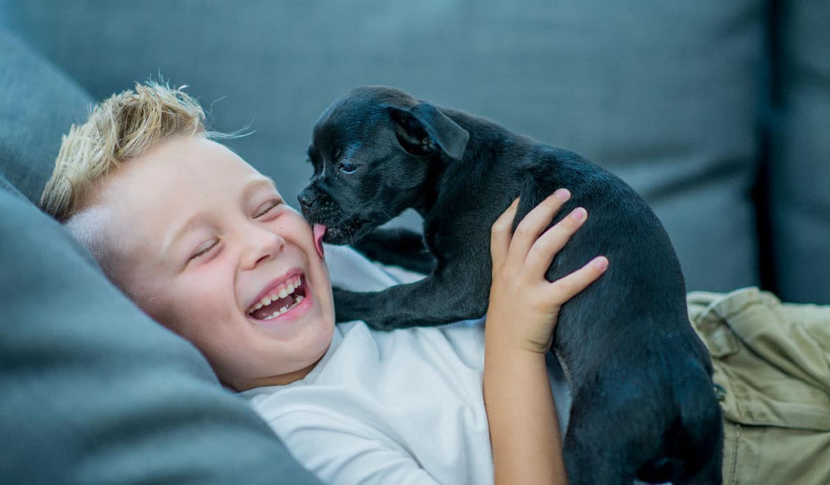 Animal Ark of Arcadia | Arcadia, FL | Vet Near Me